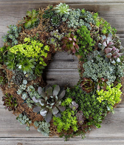 wreath