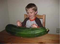 zucchini